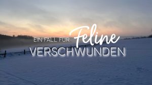 Winterlandschaft im Sauerland mit dem Text: Ein Fall für Feline Verschwunden