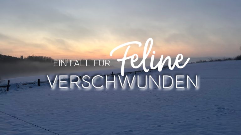 Winterlandschaft im Sauerland mit dem Text: Ein Fall für Feline Verschwunden