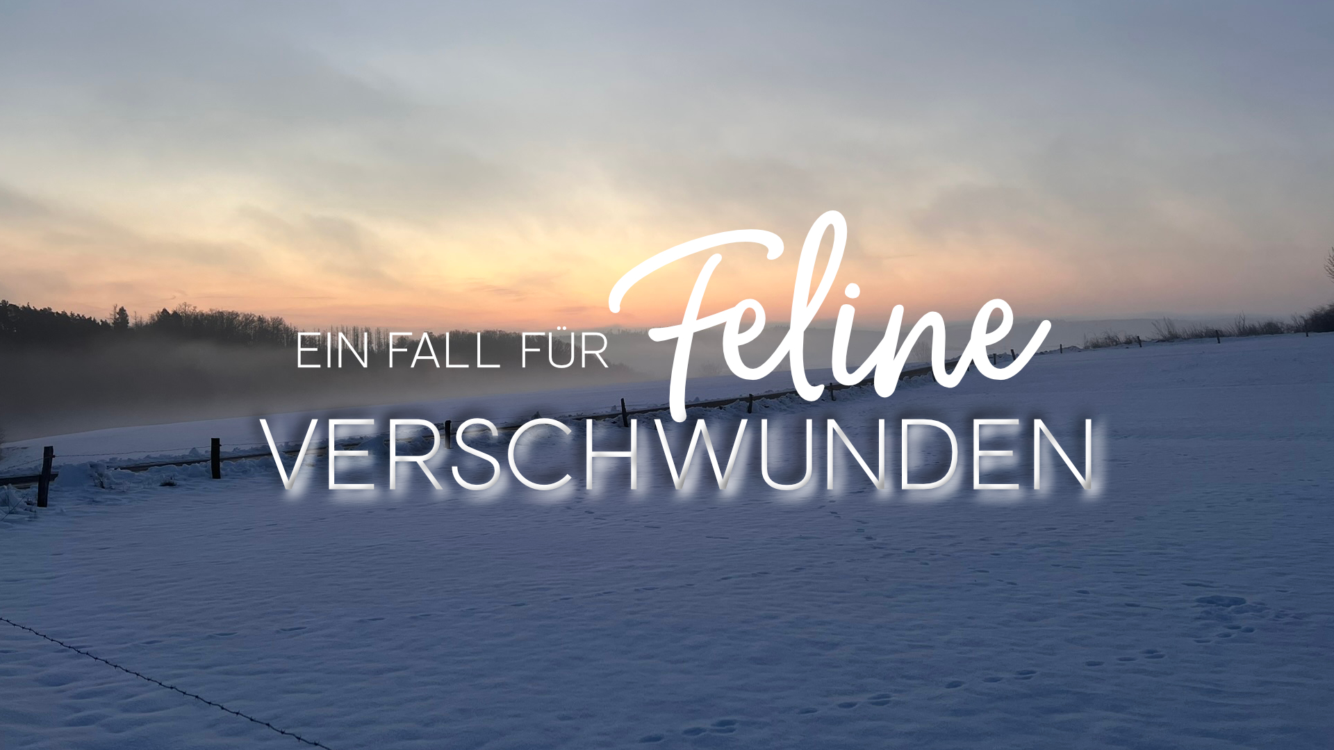 Winterlandschaft im Sauerland mit dem Text: Ein Fall für Feline Verschwunden
